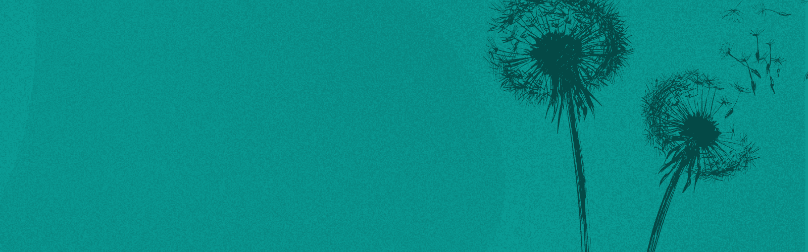 sommerakademie-header-smartphone